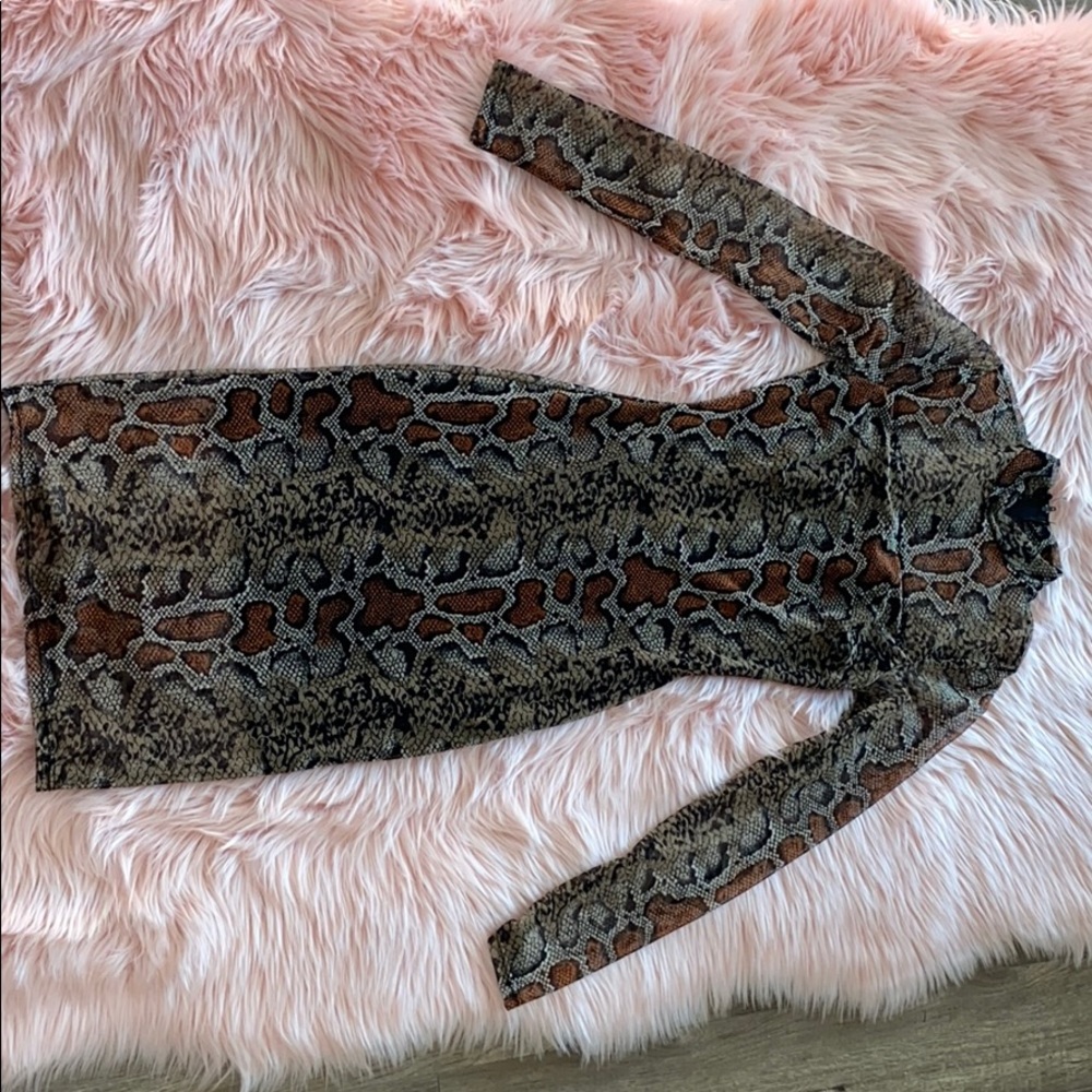 Sheer Snake Skin Casual Dress